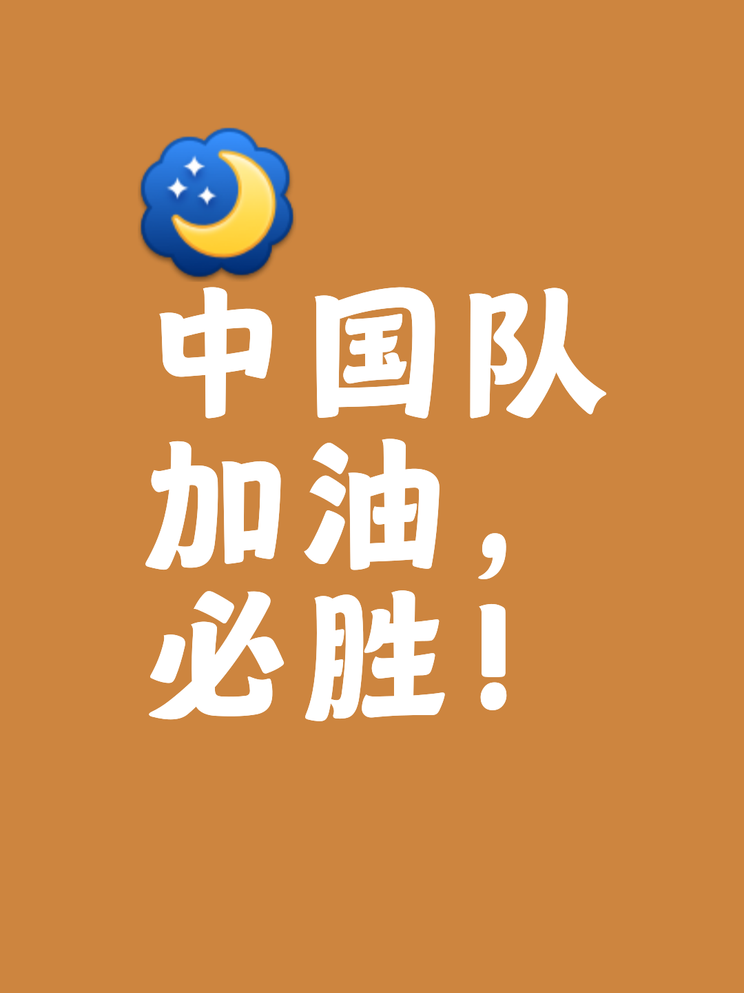 国家队奋勇拼搏，取得胜利，再创佳绩的简单介绍