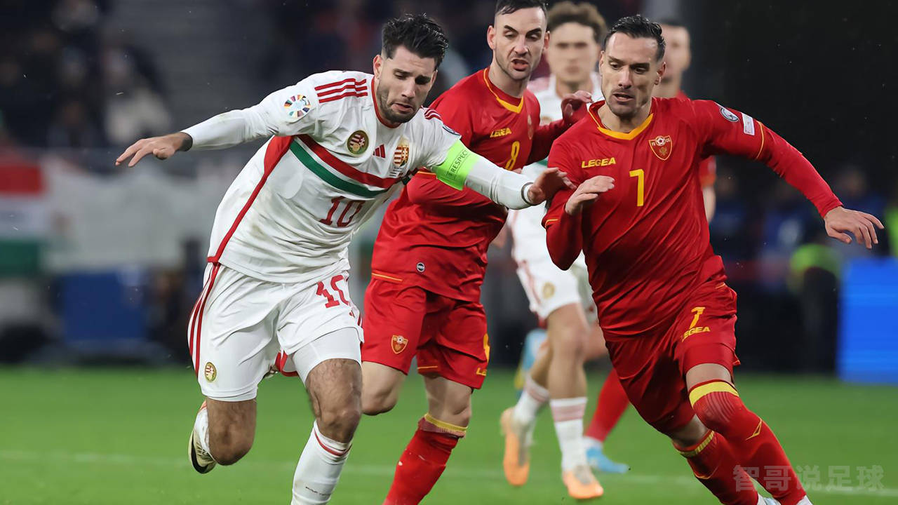 瑞士队在国际比赛中迎来胜利的喜悦