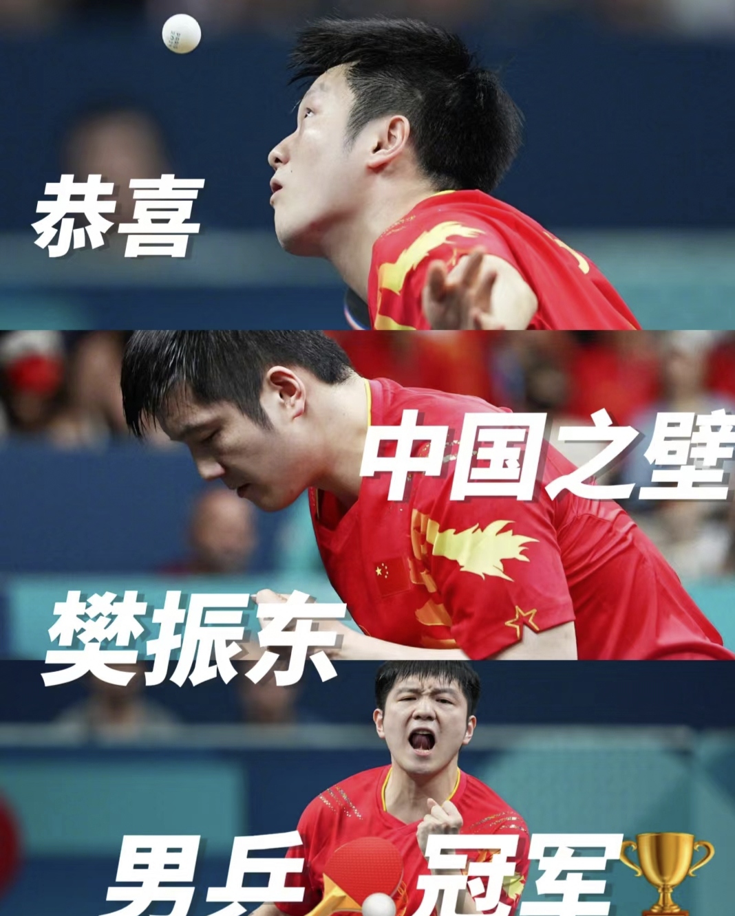 中国队完胜日本队,樊振东刷新纪录 中国队完胜日本队,樊振东刷新纪录