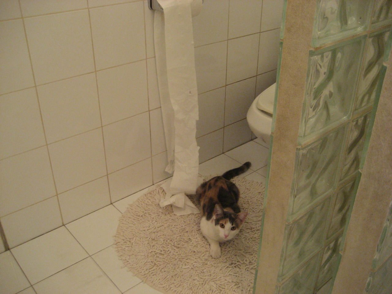 当上海队绝杀国王，东契奇亲手在太平洋两岸写下同一种篮球神话