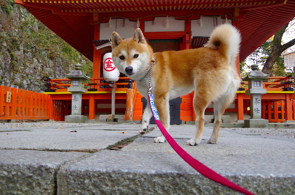 防线的崩溃，金玟哉如何以一己之力撕碎毕尔巴鄂的铜墙铁壁