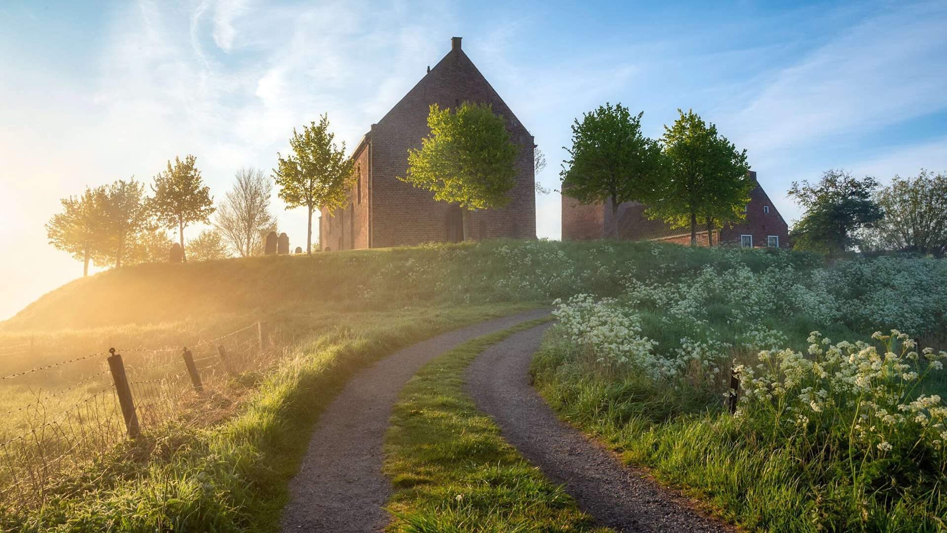 两个战场,一种意志,贝林厄姆在德甲封王与日本足球的战术革命
