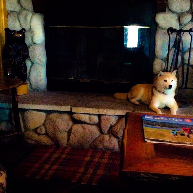 单点爆破与钢铁洪流，厄德高式天赋如何照亮澳大利亚的战术压制蓝图