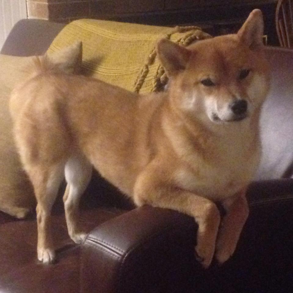 欧冠淘汰赛之夜，门迪的立体防御与零封密码