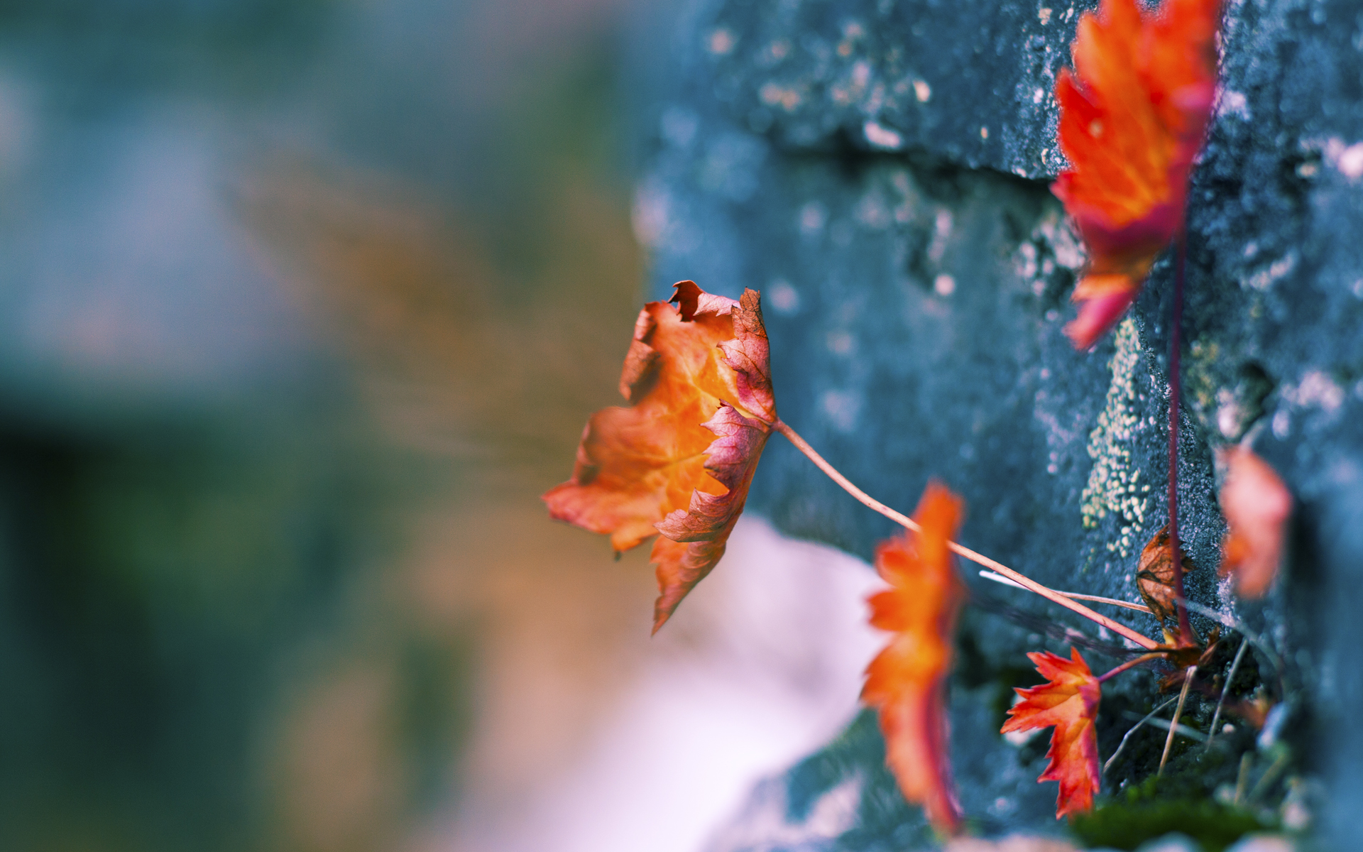 改写历史的一夜，深圳见证辽宁绝境逆转，贝恩敲响中美篮球新对话