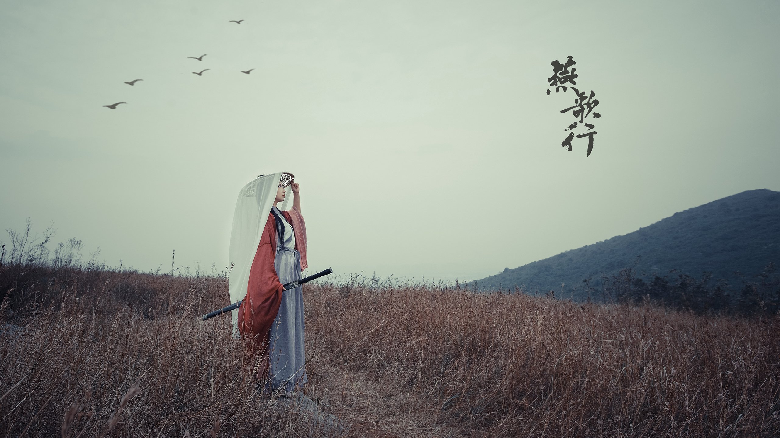 雷火电竞下载-风暴中心，唯一的王座，当老鹰与鹈鹕的羽翼交汇，恩比德在更大的舞台上加冕